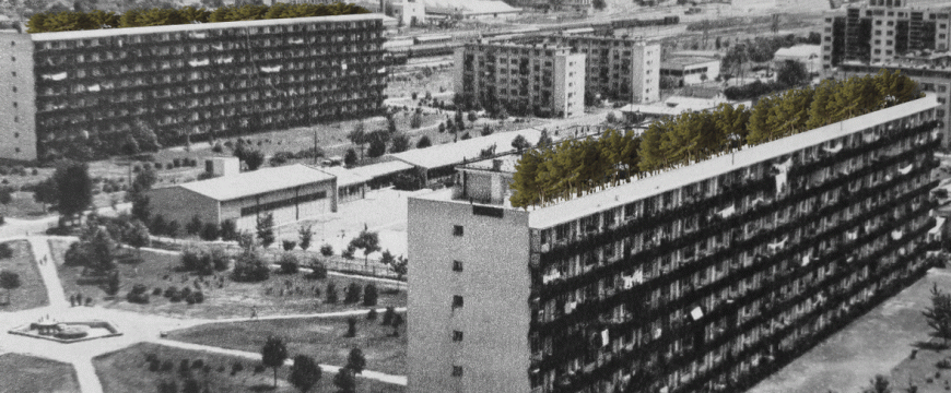 ЗА ОЗЕЛЕНЕТАТА АРХИТЕКТУРА