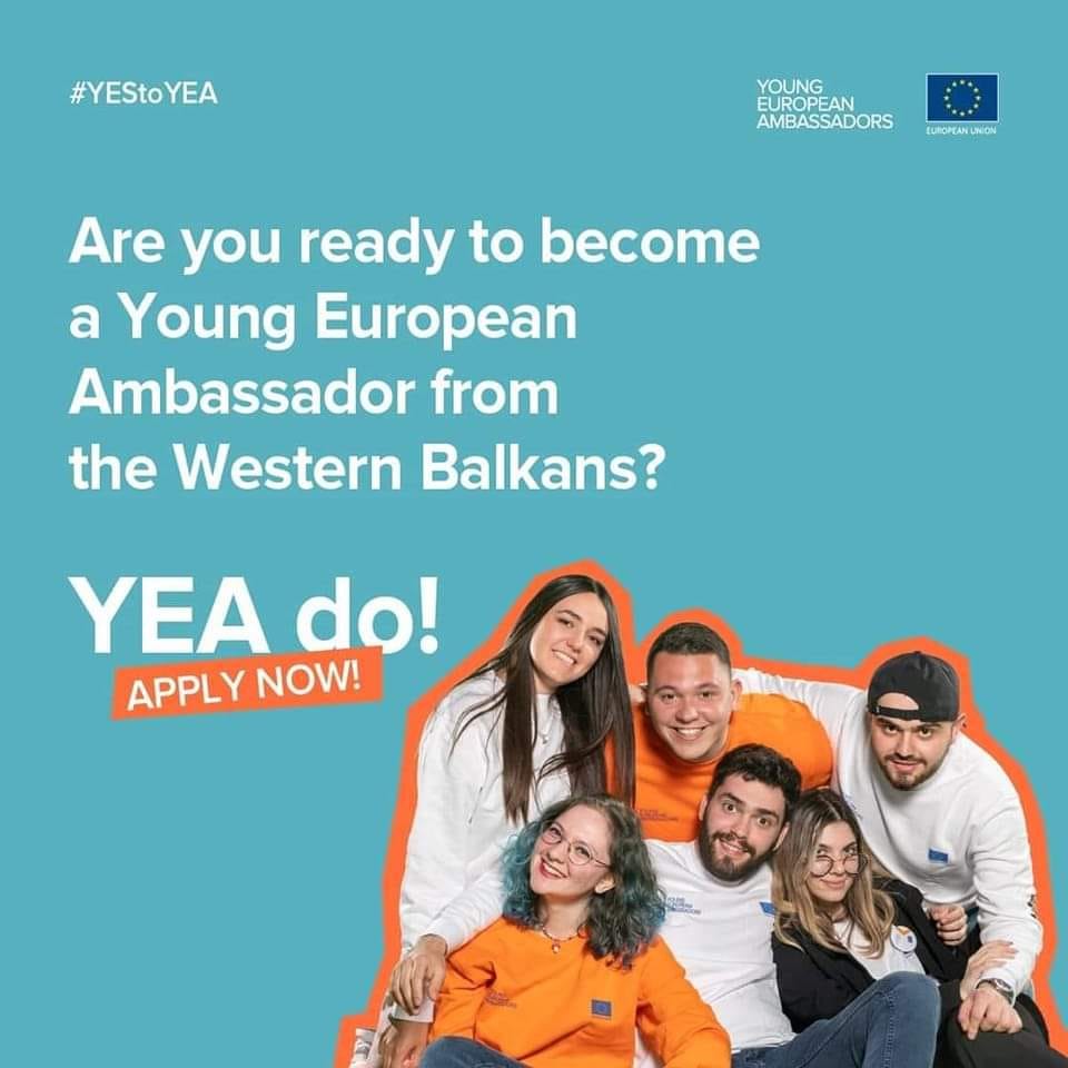 Open Call for Young European Ambassadors
