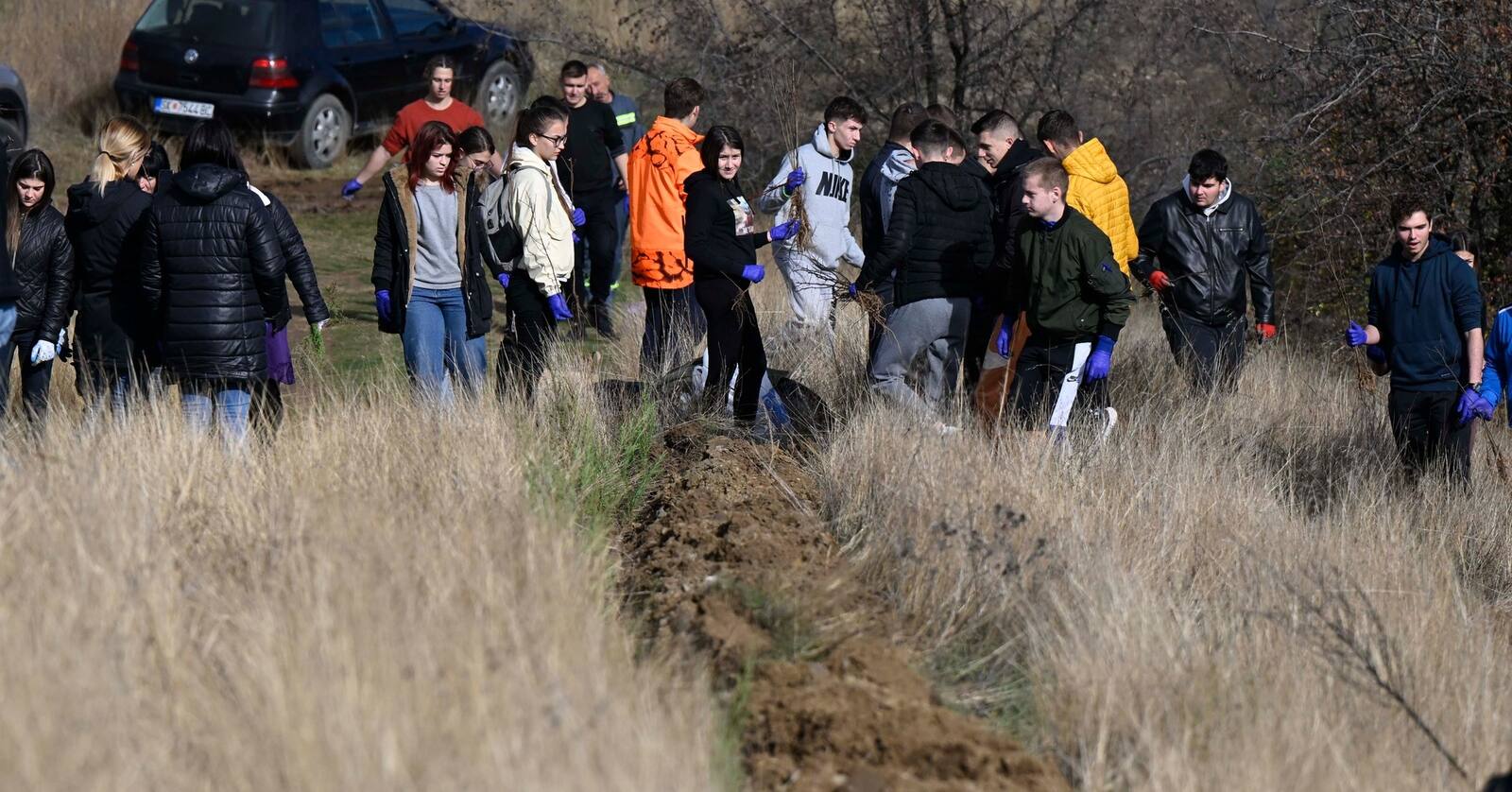 Treebanks – planting the future (Ajvatovci and Berovo)
