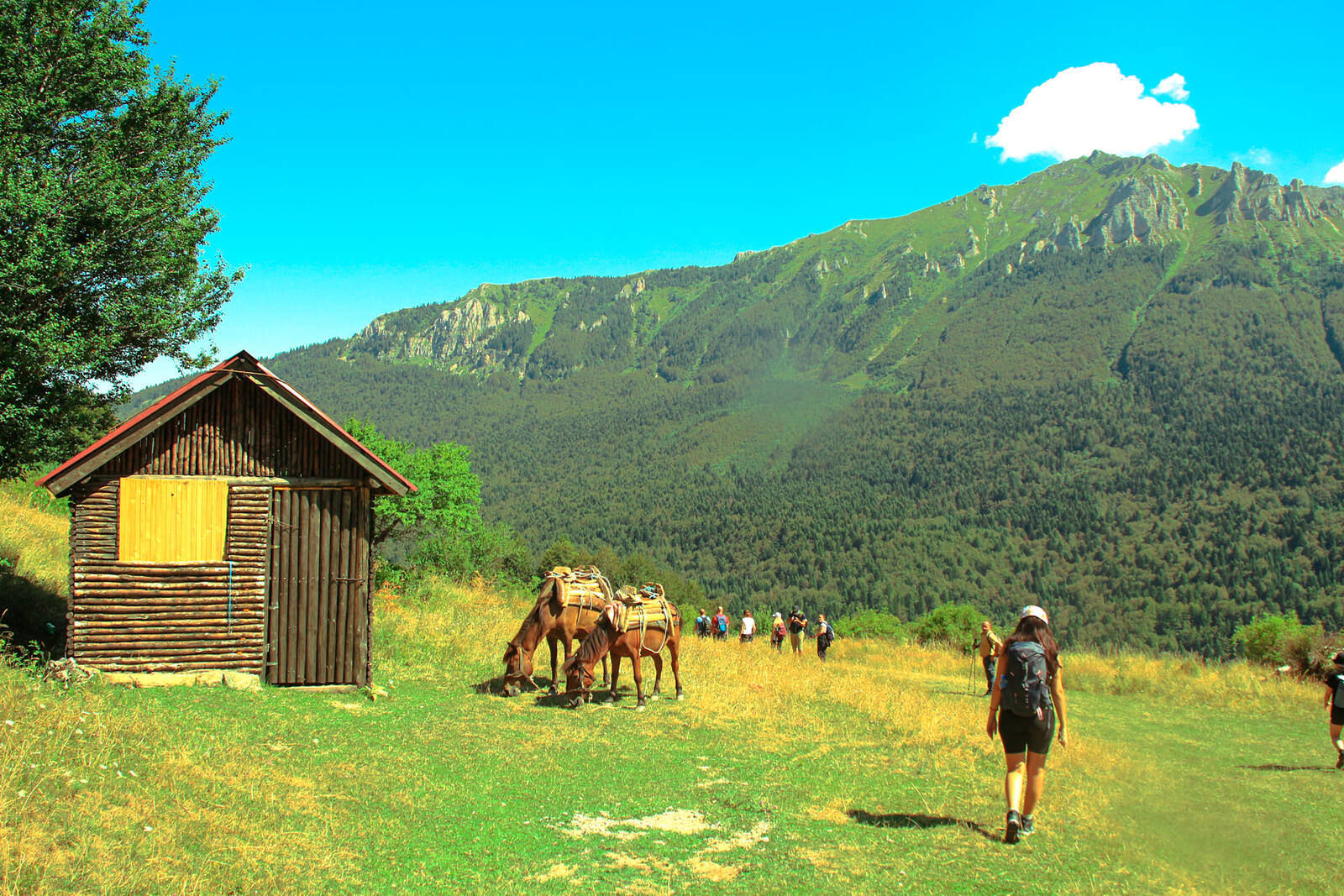 Peaktrip заедно со Europe House Тетово организираше планинарска акција, искачување до Боровите на село Бозовце